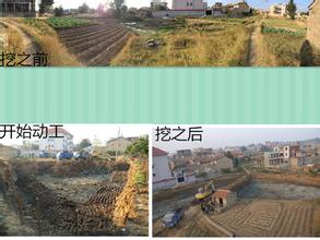  池塘土壤修复方法